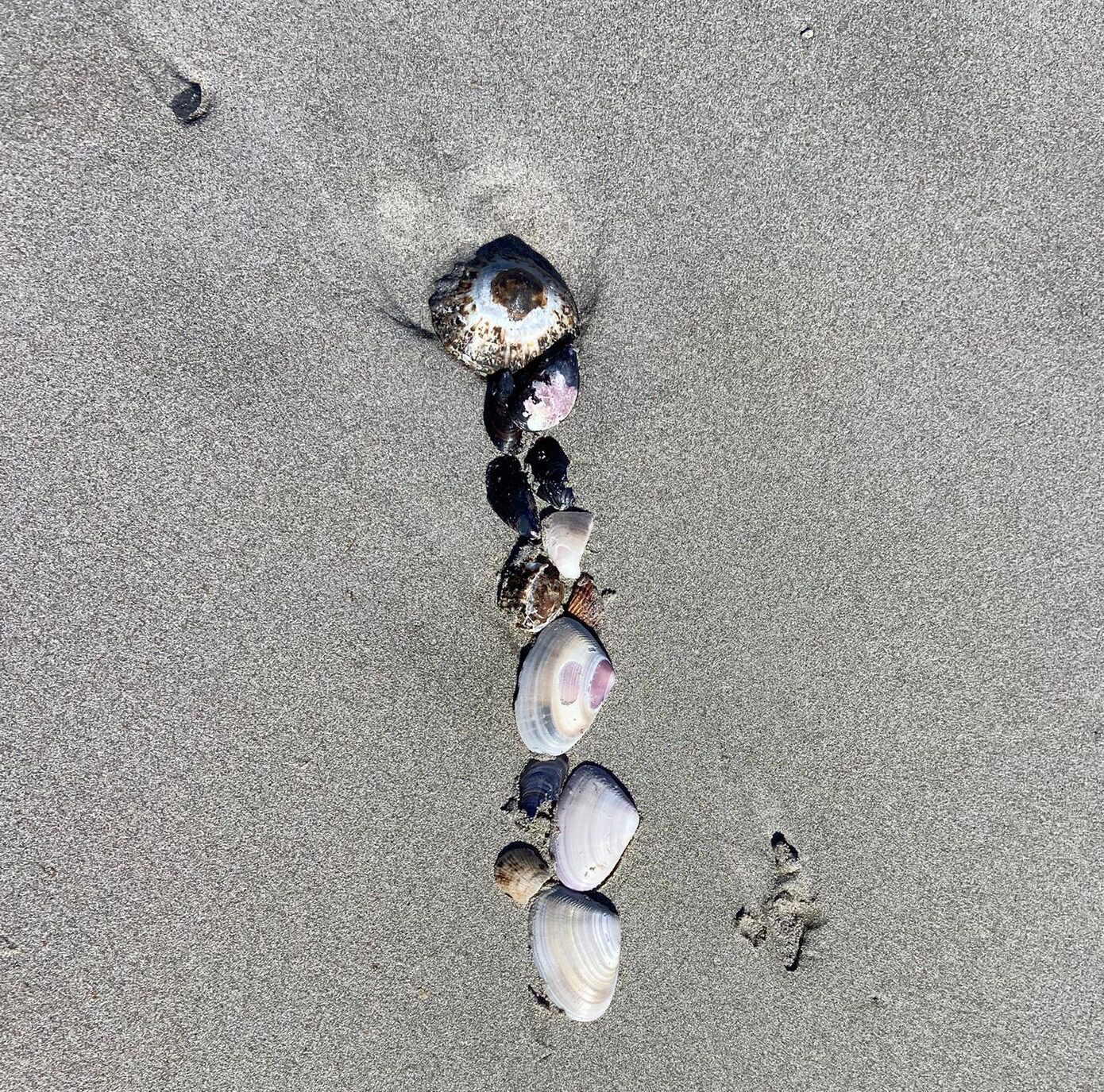 PHOTO-2025-08-31-20-12-56