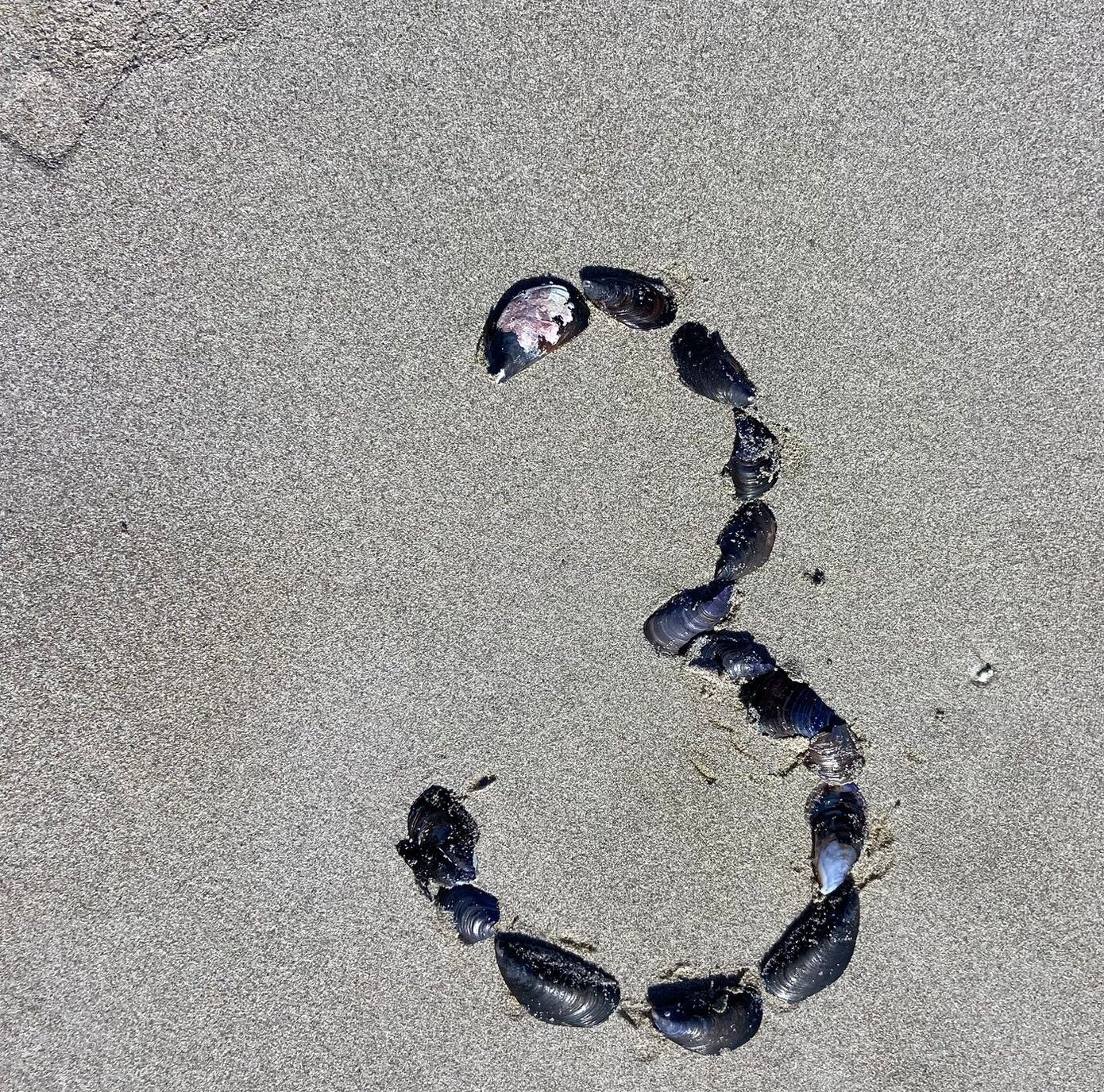 PHOTO-2025-08-31-20-12-57